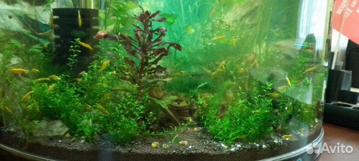 Продам аквариум