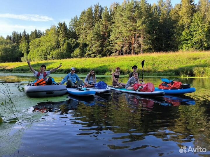 Прогулка на сапах по реке Оредеж