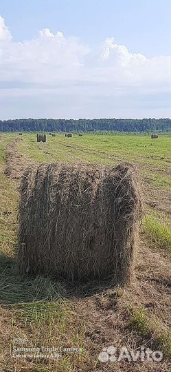 Сено в рулонах 2023
