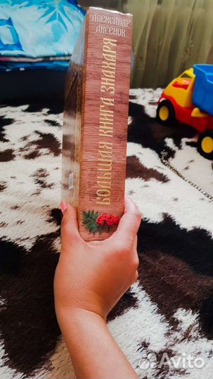 Большая книга Знахаря