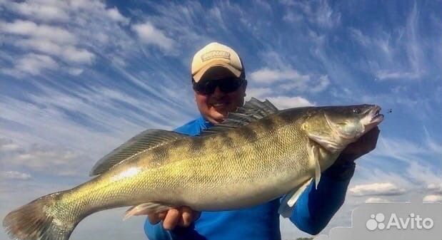 Рыбалка с гидом в Астрахани