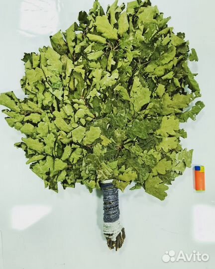 Веники для бани дуб, берёза, пихта, липа, эвкалипт