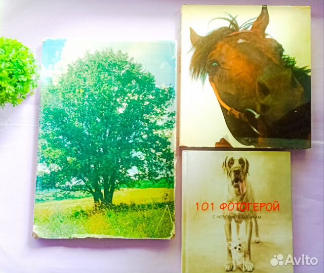 Познавательные и художественные детские книги