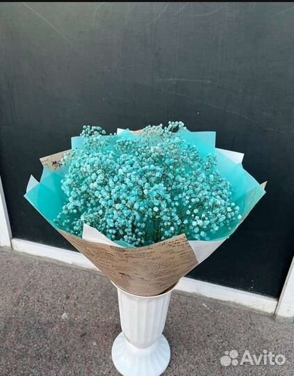 Букет из гипсофилы. Доставка