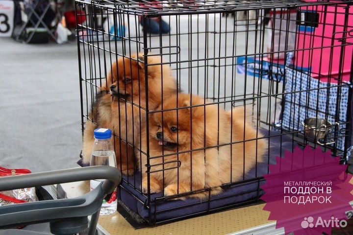 Клетка для собак (прочная/металлическая) вольеры