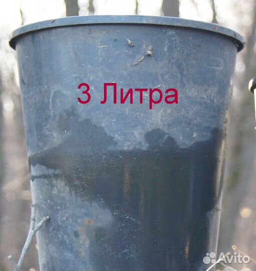 Капельный полив для теплиц и грядок