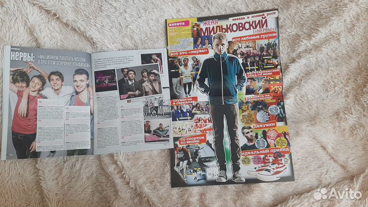 Нервы, 2 журнала 2013 год