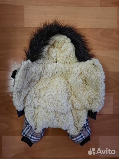 Одежда для собак мелких пород