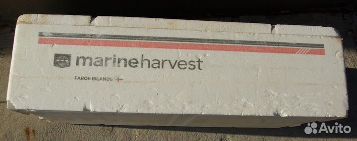 Термоконтейнер из пенопласта