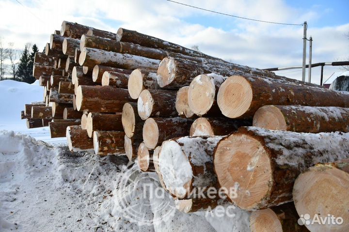 Доски с пилорамы