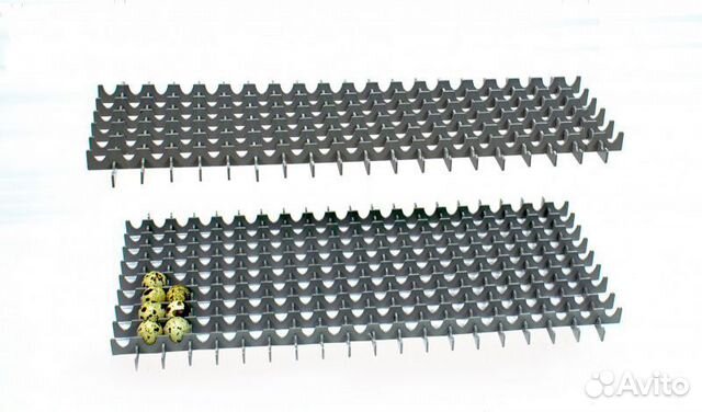 Перегородки в лоток в инкубатор Норма парка