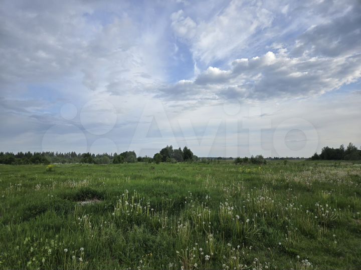 Участок 6 сот. (ИЖС)