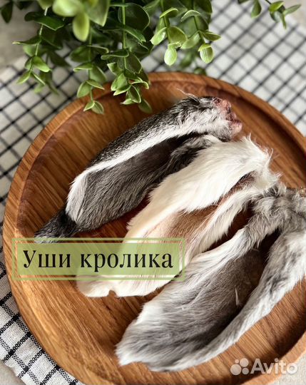 Лакомства для собак / легкое, вымя / бычий корень