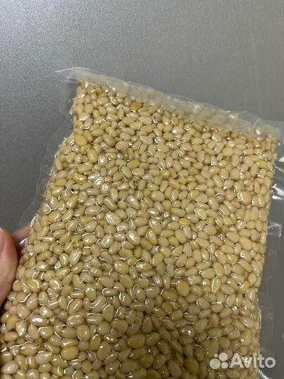 Кедровый орех оптом