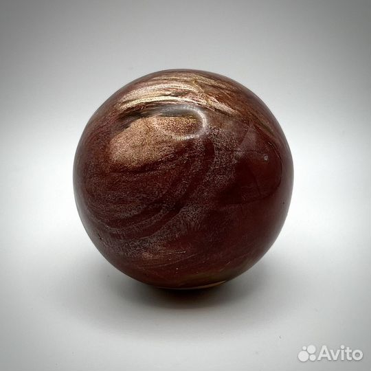 Шар из окаменелого дерева окаменелость ископаемое