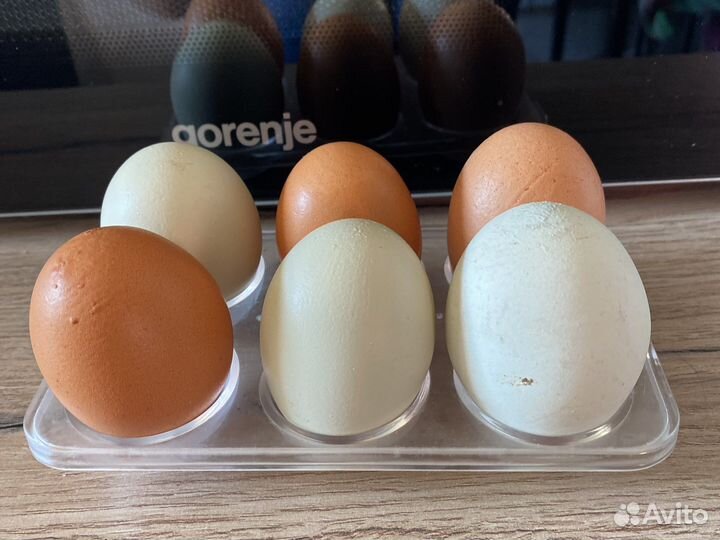 Яйцо куриное домашнее