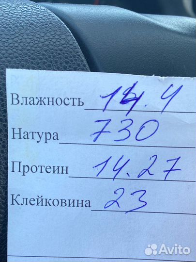 Зерно пшеница ячмень