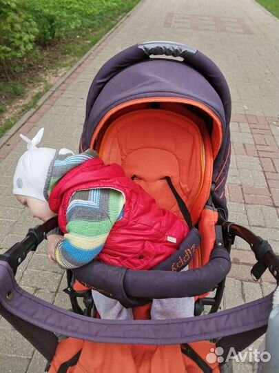 Коляска zippy 3 в 1