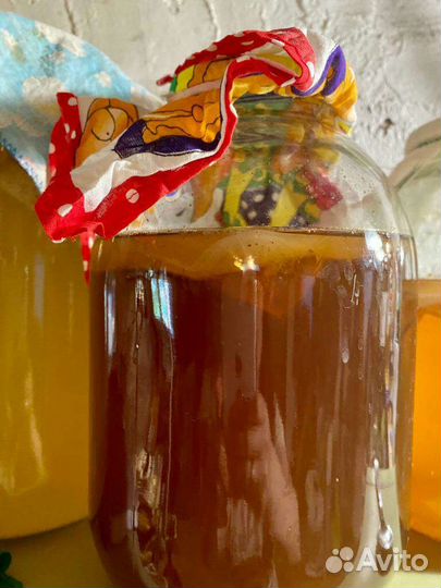 Чайный гриб, комбуча,винный гриб,индийский рис