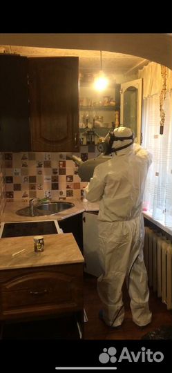 Уничтожение тараканов частник Яковлев