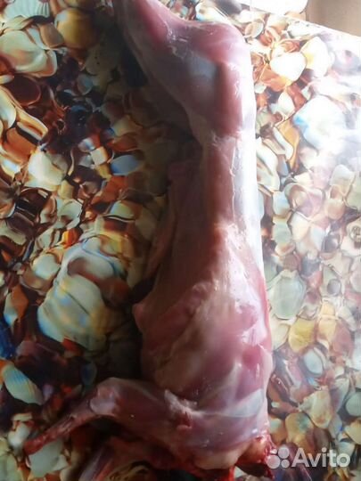 Мясо кролика, яйцо