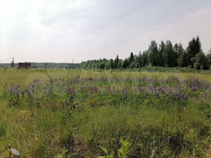 Участок 12 сот. (СНТ, ДНП)