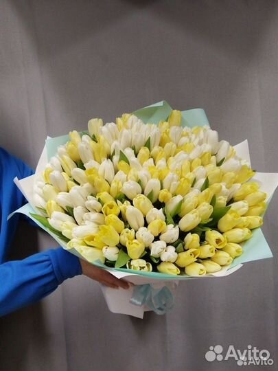 Букет из 201 желтого и белого тюльпана