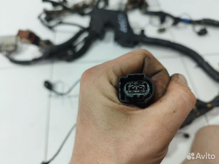 Проводка моторная Discovery III 2004-2009 2.7TD