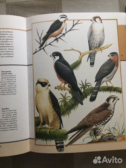 Книги для детей