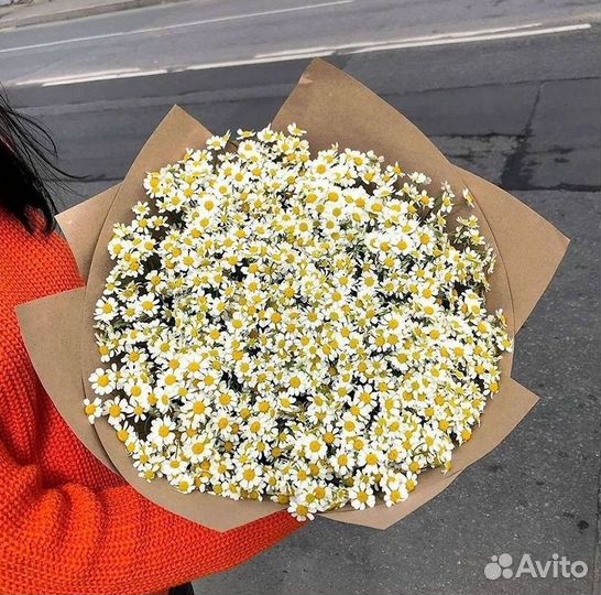 Цветы ромашки. Букеты ромашек. Цветы доставка