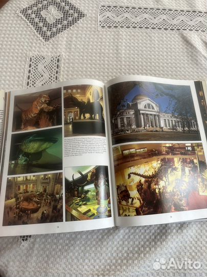 Вашингтон, округ Колумбия. Фотоальбом