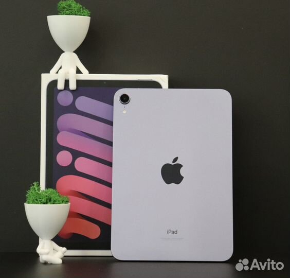 iPad mini 6 256GB Wi-Fi Purple