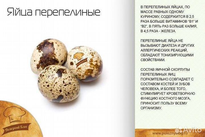 Перепелиное яйцо