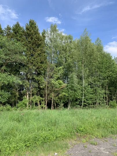 Участок 9,3 сот. (ИЖС)