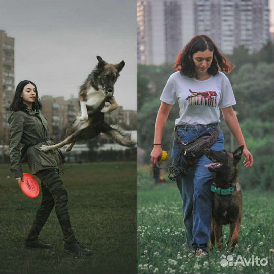 Кинолог - дрессировка/ передержка/ выгул