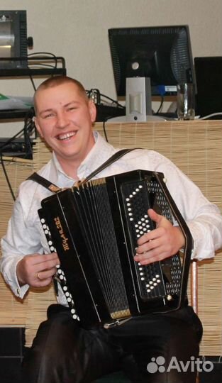 Услуги баяниста