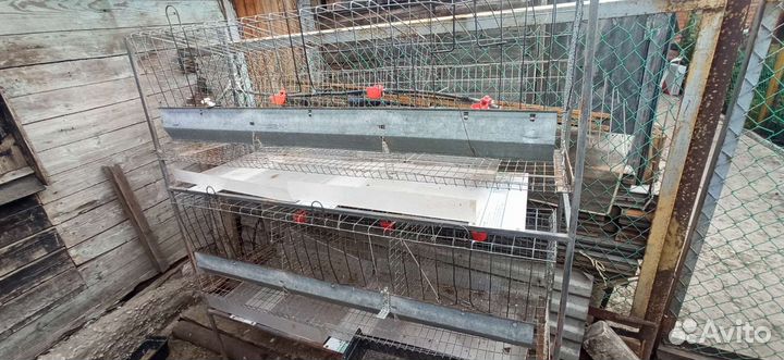 Клетка вольер для птиц бу