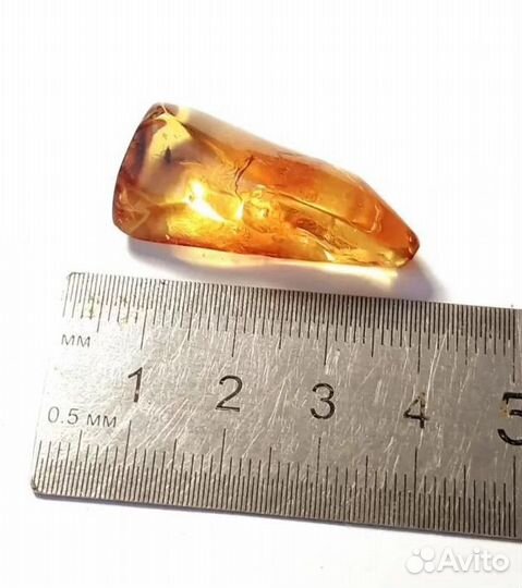 Янтарь с мелкими комариками