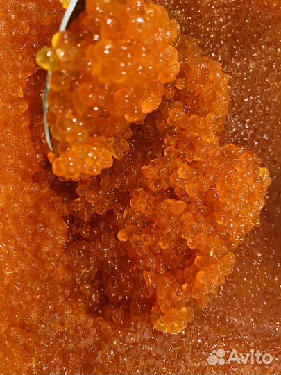 Красная икра, рыба, морской гребешок, краб