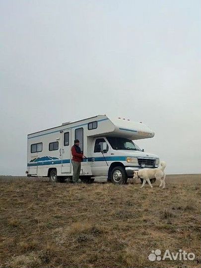 Интегрированный Ford E350, 1995