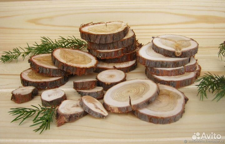 Стволы можжевельника