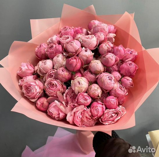 Букеты Цветы Роза 51 101