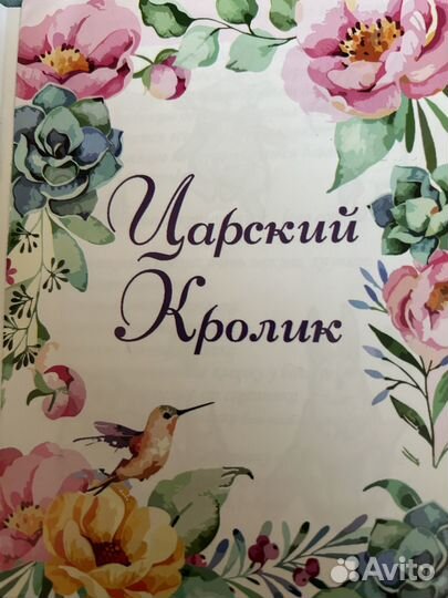 Карликовый кролик беличий из Царского Кролика