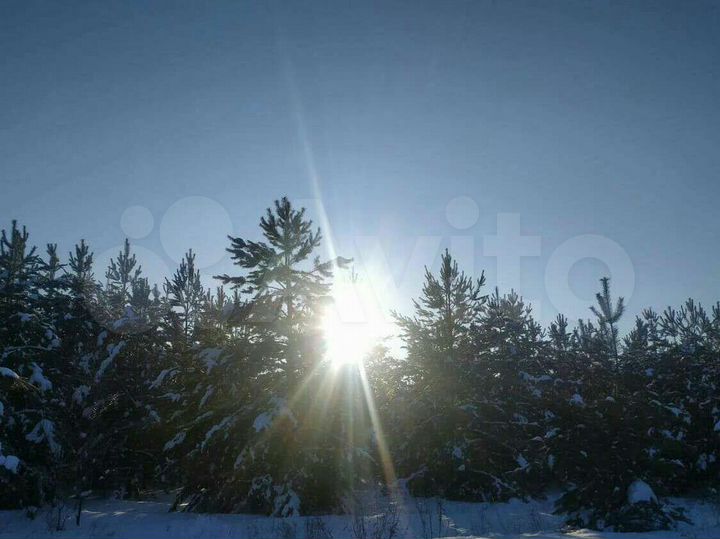 Дом 65 м² на участке 10 сот.