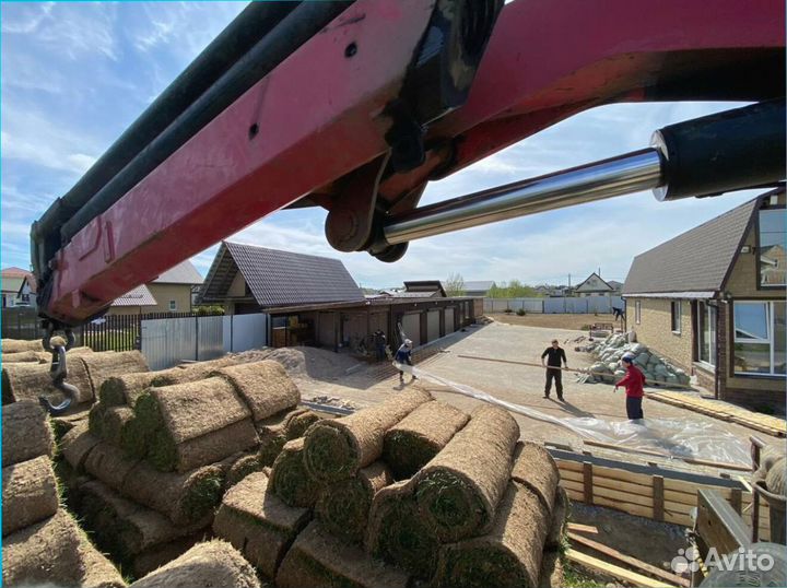 Быстрое озеленение участка рулонным газоном