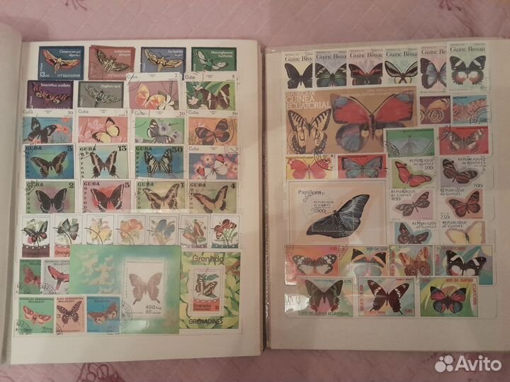 Марки фауна альбом бабочки