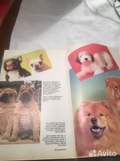 Малый атлас пород собак