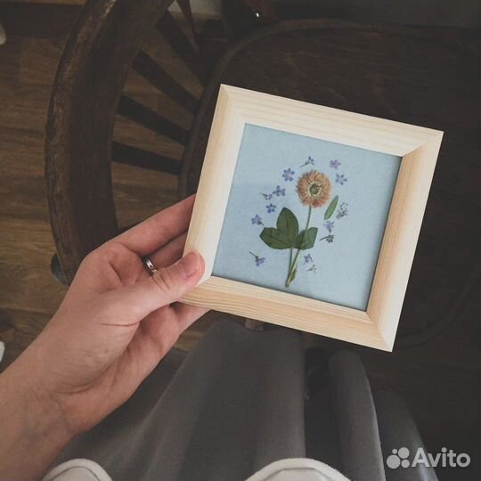 Гербарий с сухоцветами