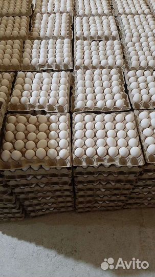 Яйцо куриное фермерское