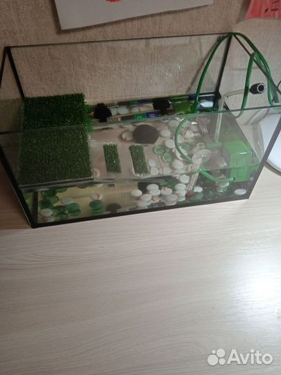 Террариум для черепахи